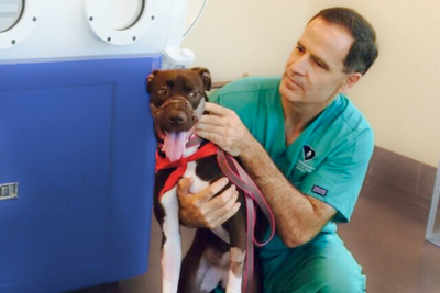 Caitlyn the Survivor: From Victim to Hero