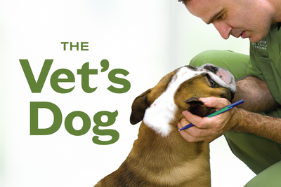 Introducing The Vet’s Dog: My Journey from Surgeon to Advocate for Preventive Canine Care