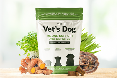Media Announcement: The Launch of Our New Product Line