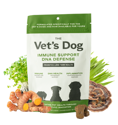THE VET'S DOG IMMUNE SUPPORT AND DNA DEFENSE SOFT CHEW ( TEST 2 )